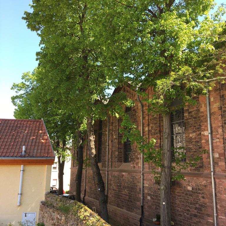 Ferienhaus Zur Mainpforte Maguncia Exterior foto